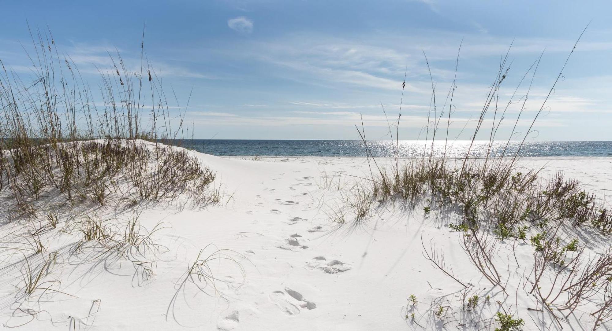 Nautilus Unit 2407 Villa Fort Walton Beach Exterior foto
