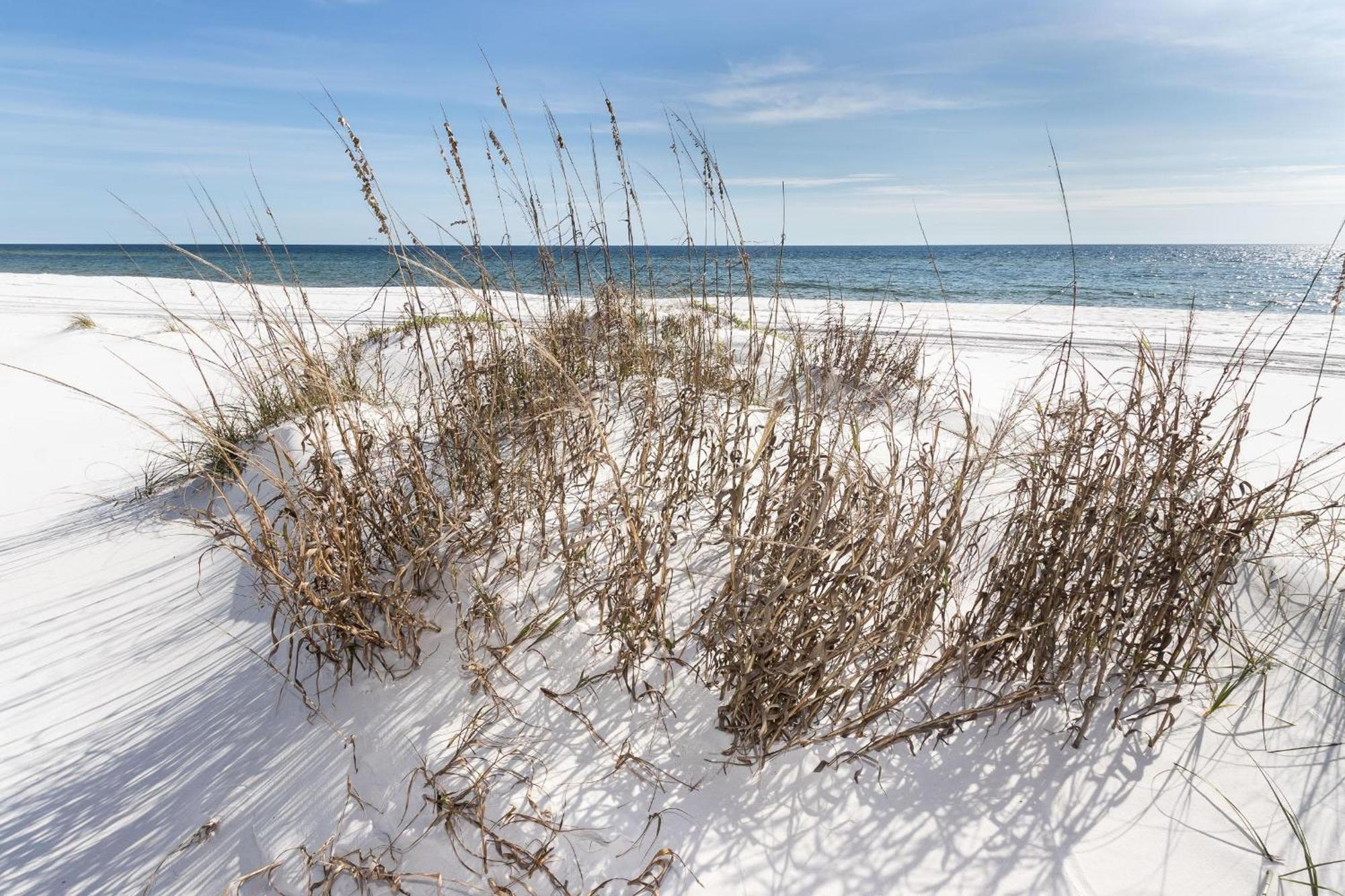 Nautilus Unit 2407 Villa Fort Walton Beach Exterior foto
